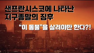 캘리포니아에 나타난 지구온난화 징후, 그 해결책은?