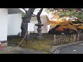 【4k】松島 観瀾亭 紅葉 matsushima kanrantei autumn leaves