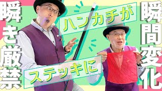 【マジックグッズ紹介】ハンカチが一瞬でステッキに！アピアリングケーン【テンヨー】【キデイランド大阪梅田店マジックショップ】