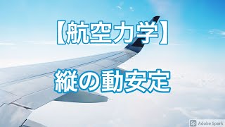 【航空力学】縦の動安定