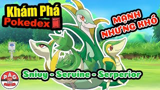 [Reup] Tìm hiểu về Snivy - Servine - Serperior | Pokemon Khởi Đầu hệ Cỏ của Unova | PAG Center