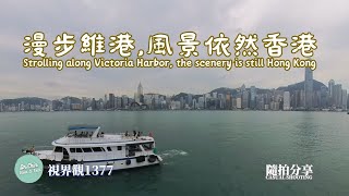 Take the China Travel Service Guangzhou-Hong Kong Direct Bus from Clifford Village to Hong Kong