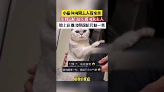 小猫咪向男主人要亲亲，亲到后扭头看向女主人还露出邪魅一笑#搞笑 #猫 #动物