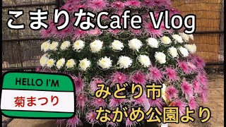 ＜シニア女子の山歩き・街歩き＞みどり市/ながめ公園の菊まつり＃ながめ公園＃菊まつり＃高津戸橋