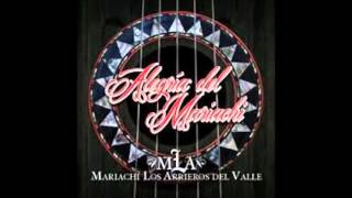 Maria De La Luz- Mariachi Los Arrieros Del Valle