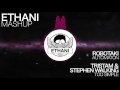 robotaki automaton vs tristam u0026 stephen walking too simple ethani mashup