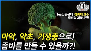 마약, 약초, 기생충으로 '좀비'를 만들 수 있을까? [좀비의 과학 2/2] (광운대 장홍제 교수)