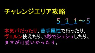 【ディバゲ】チャレンジエリア攻略～5_1_1~5～