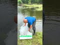 Best DIY Fish Trap/ Amazing Fishing Techniques (EASY And EFFECTIVE) 🎣#shorts #viral #fishing