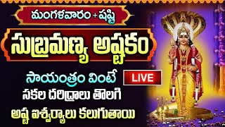 LIVE: మంగళవారం రోజు సుబ్రమణ్య అష్టకం ఉదయాన్నే వింటే కోట్లు సంపాదిస్తారు | Sri Subramanya Ashtakam