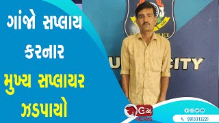 ગાંજો સપ્લાય કરનાર મુખ્ય સપ્લાયર ઝડપાયો@G24News