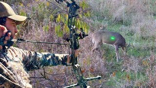 Bowhunting the RUT in Pennsylvania! (BUCK DOWN)