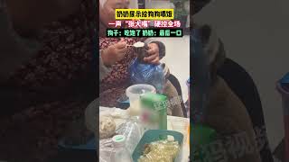 奶奶展示給狗子喂飯，一聲“張大嘴”硬控全場，狗子：吃飽了，奶奶：最后一口