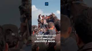 വടക്കൻ ഗസ്സയിൽ ഭക്ഷ്യസാധനങ്ങളുമായി എത്തിയ ട്രക്കിൽ കയറിപറ്റുന്ന ഫലസ്തീനികൾ | Madhyamam |