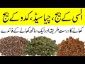 Pumpkin Seed, Chia Seed or Flax Seed Khane ka Sahi Tarika | Pumpkin Seed, Chia Seed or Flax ke Fayde