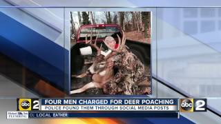 Four men charged for deer poaching