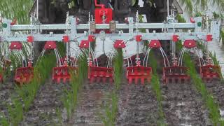 水田除草　福岡県　paddy field weeding machine　【キュウホー　ASHORAGRI】