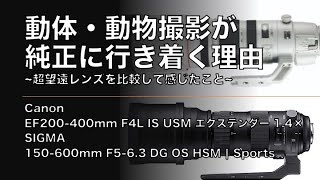 【動体・動物撮影】が“純正レンズ”に行き着く理由~超望遠レンズを比較して感じたこと~