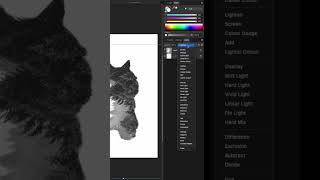 Create Stunning Double Exposure Effects | Affinity Photo Tutorial
