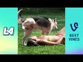 Hilarious Fails Caught On Camera - Best Funny Videos