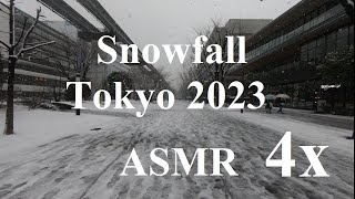 Snow in Tokyo 2023 4x