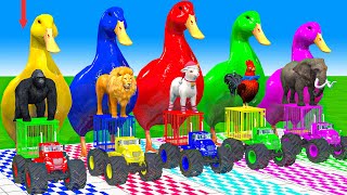 5 Giant Duck Cartoon, Cow, Mammoth, Elephant, Tiger, Paint Wild Animals Crossing Fountain Animation