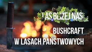 Las bliżej nas - Bushcraft w Lasach Państwowych