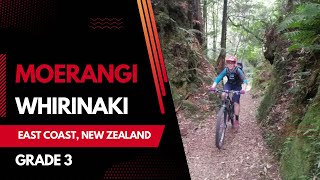 Moerangi Trail Video