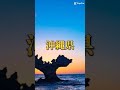 沖縄県vs宮崎県都市対決2022年 沖縄県 強さ比べ 対決動画 都市比較 都道府県 都市対決