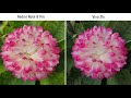Redmi Note 8 Pro vs Vivo Z1x SpeedTest & Camera Comparison