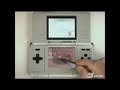 Nintendogs: Chihuahua & Friends Nintendo DS Gameplay -