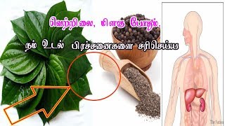 வெற்றிலை , மிளகின் பயன்கள் - vetrilai \u0026 Milagu Benefits In tamil-Siththarkal Ulagam