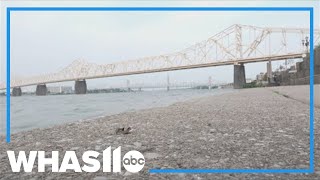 Body found in Ohio River near Belle of Louisville