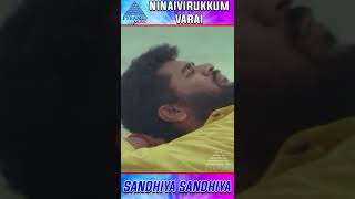Ninaivirukkum Varai Movie Songs | Sandhiya Sandhiya Video Song | Prabhu Deva | #ytshorts