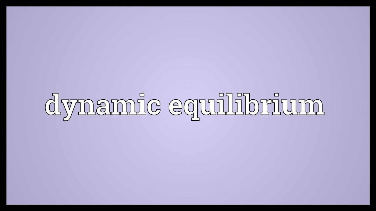 Dynamic Equilibrium Meaning - YouTube