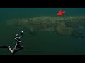 CAUGHT ON VIDEO-Diver surrounded by WILD 15 foot crocodile & 13 foot alligator!