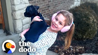Little Pittie Gets Adopted By A Girl Who Has The Same "Paw" | The Dodo