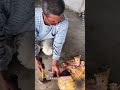 善良的人从藤壶中解脱出来 animal animalrescue animallover rescue turtle