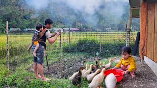 80 days in the life of a single father, harvesting agricultural products