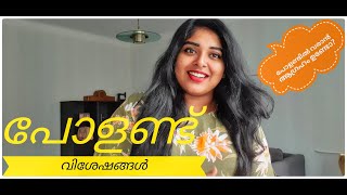 POLAND വരാൻ ആഗ്രഹം ഉണ്ടോ? MALAYALAM  VLOG Facts you need to know first about Poland