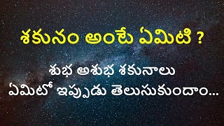 శకునం అంటే ఏమిటి? #sakunam #sakunalu #శకునం #meaning #list #of #subhasakunalu#asubhasakunalu #telugu