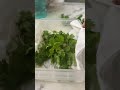 kitchen hack fresh coriander