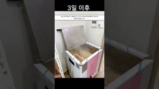 염좌시 핫팩??아이스팩?? #유도 #재활 #유치사