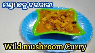 ରୁଟି ସହିତ ମଣ୍ଡା ଛତୁ ତରକାରି ବହୁତ୍ ମଜା // Wild mushroom Curry Recipe// Manda chhatu tarakari