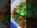 GIGANTIC Orbeez?! 😮 | Mrs. Bench