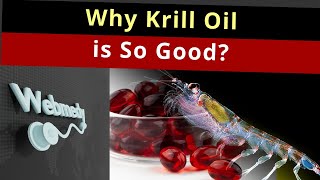 Krill Oil Benefits: Why it is Better than Fish Oil?