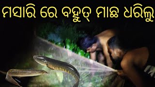 ଅନ୍ଧାର ରାତିରେ ଟ୍ରଚ ମାରି ମାଛ ଧରିଲୁ #my_village_lifestyle #odisha_tourism #Mitu bhaina Kitchen.....