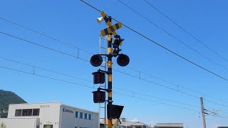 【踏切】JR予讃線　警報灯が混ざっている踏切 (Railroad crossing in Japan)