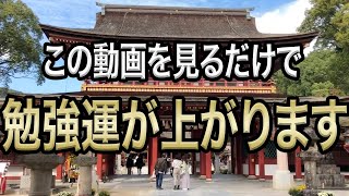 【太宰府天満宮】見た人は合格運が格段に上がります【リモート参拝】