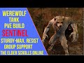 ESO Werewolf Tank Build - Sentinel - Werewolf Tank Guide - Stonethorn Greymoor